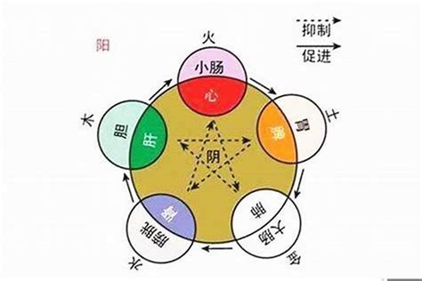 己卯年五行|己卯年五行属什么属性 己卯年出生的人是什么命